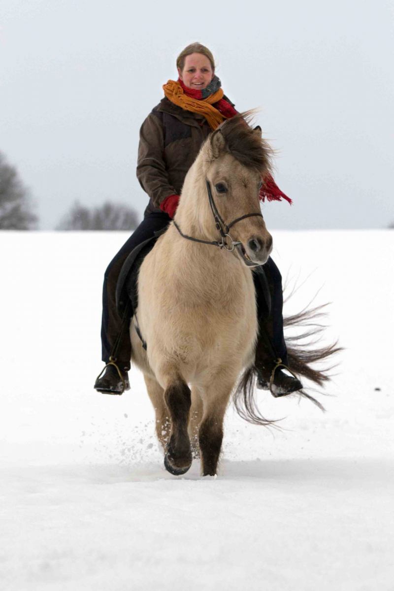 Im Schnee unterwegsw mit Islandpferd Alrun.