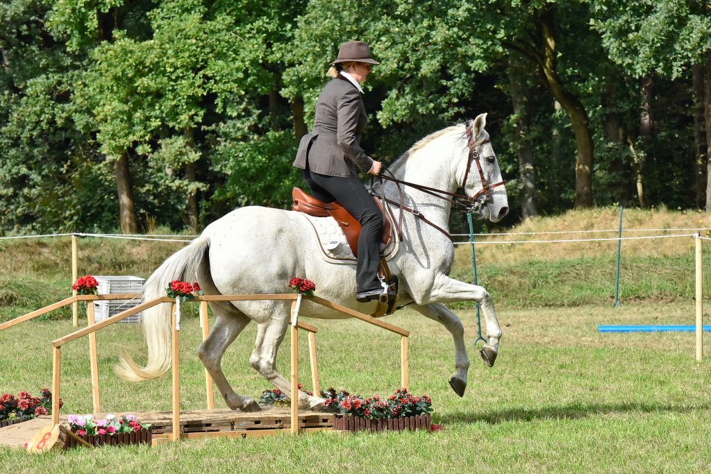 Kaja Stührenberg auf einem Paso Iberoamericano in der Gaited Wirking Equitation