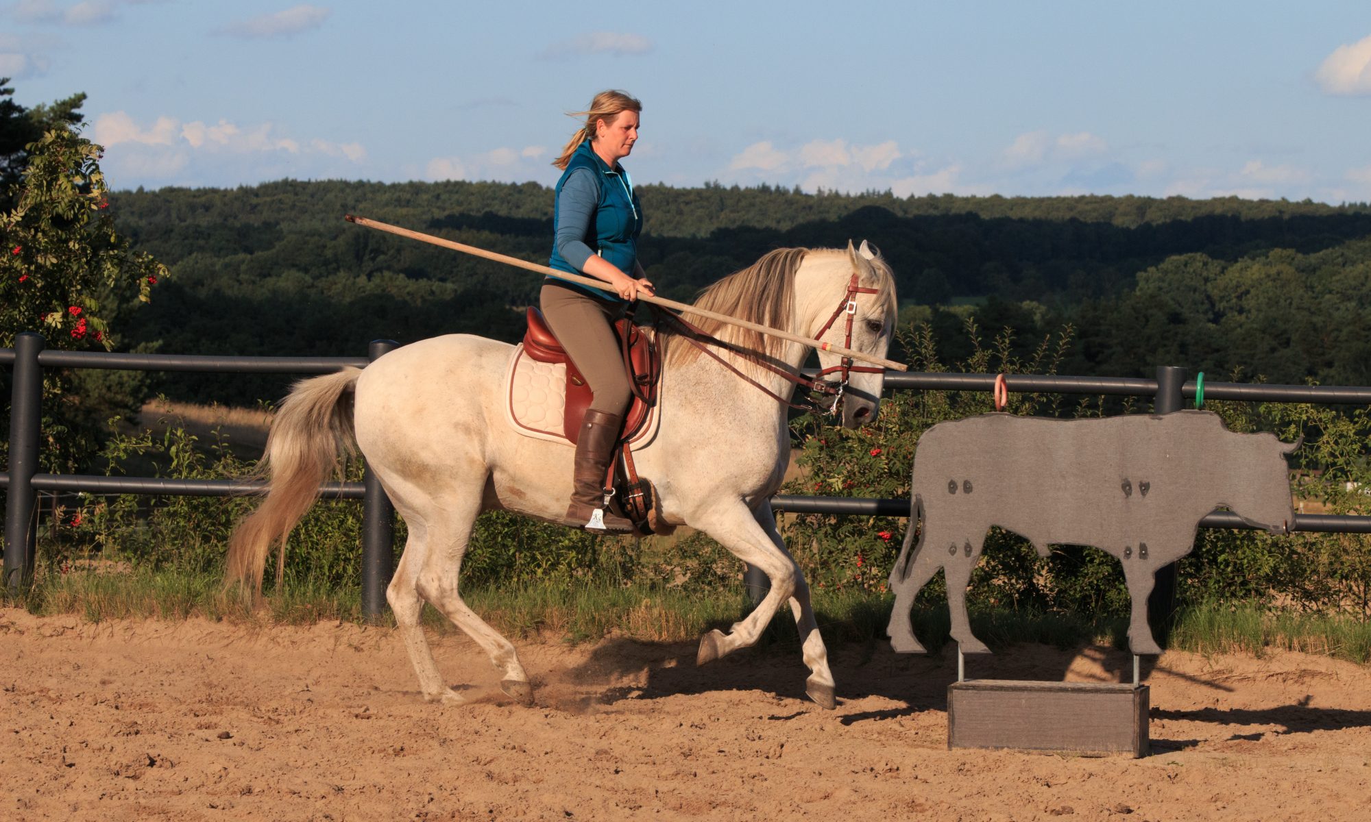 Kaja Stührenberg Working Equitation