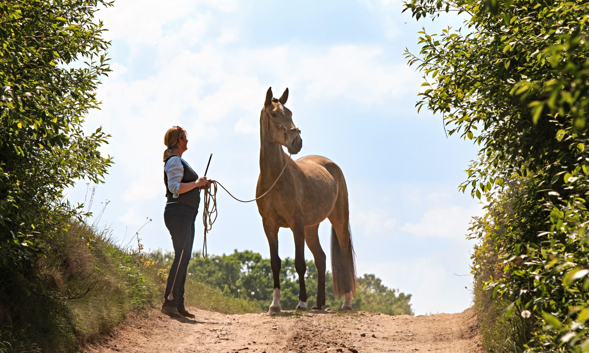 Kaja Stührenberg mit Lusitano