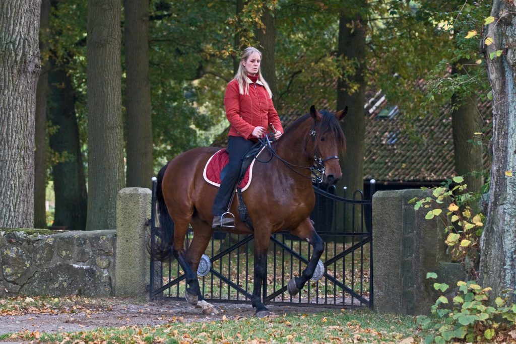 Kaja Stührenberg mit Paso Ibero Batisma