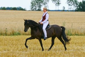 Kaja Stührenberg auf der Paso Stute Perfeccion