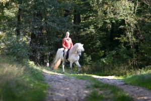 Kaja Stührenberg Geländetraining mit Islandpferd Hreindyr