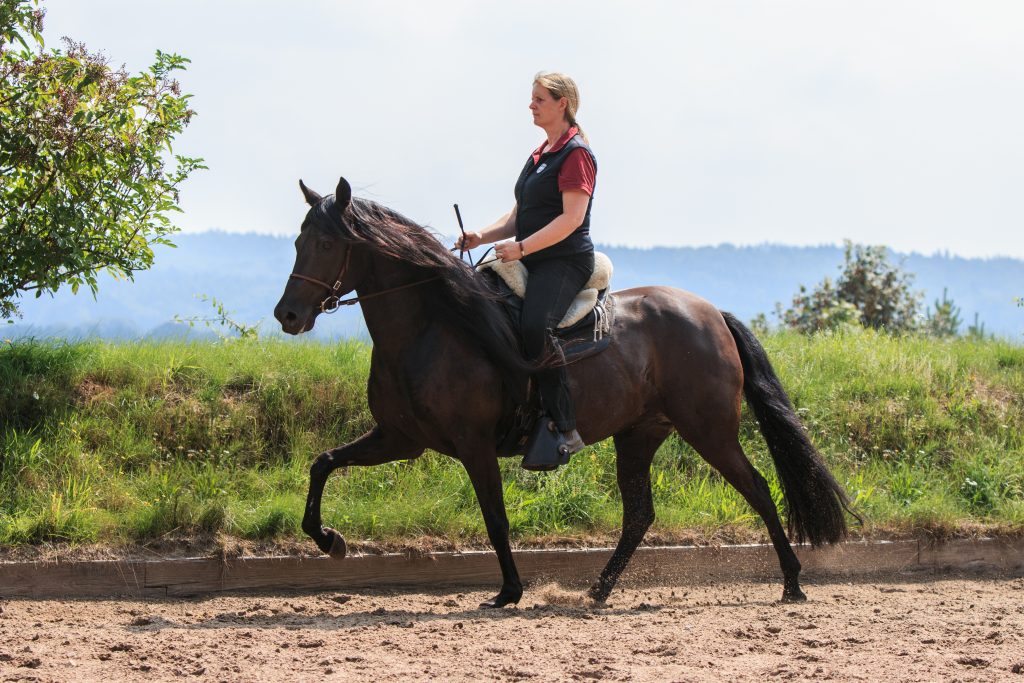 Kaja Stührenberg auf der Paso Stute Perfeccion