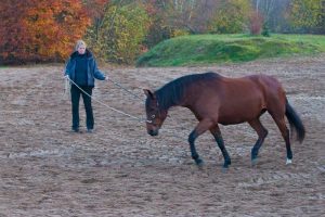 Kaja Stührenberg mit Pferd an der Longe.