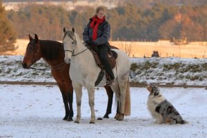 Kaja Stührenberg Paso Iberos plus Hund