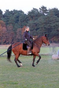 Kaja Stührenberg mit Paso Ibero Stute in der Piaffe