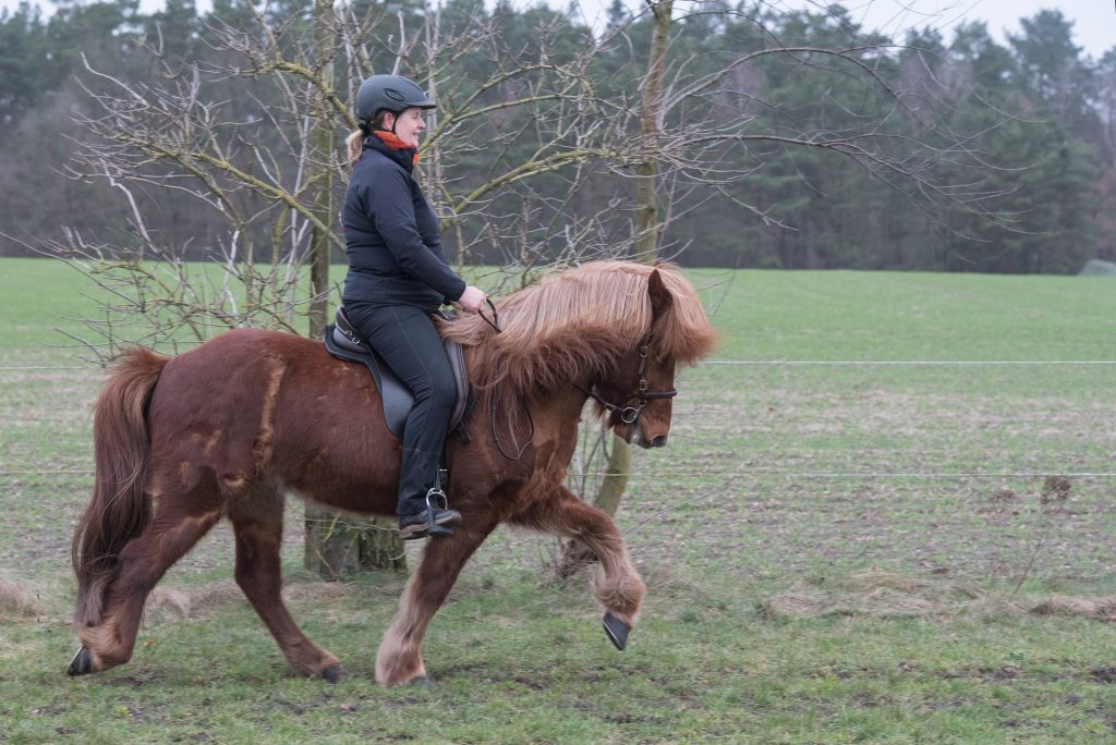 Kaja Stührenberg auf einem Islandpferd im Tölt