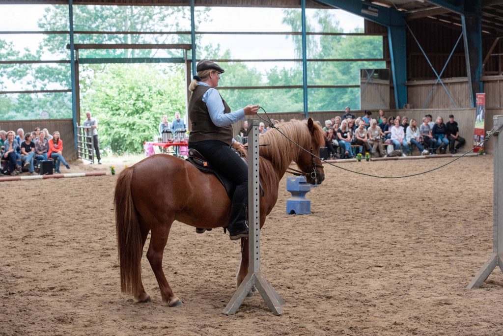 Kaja Stührenberg Islandpferd Working Equitation