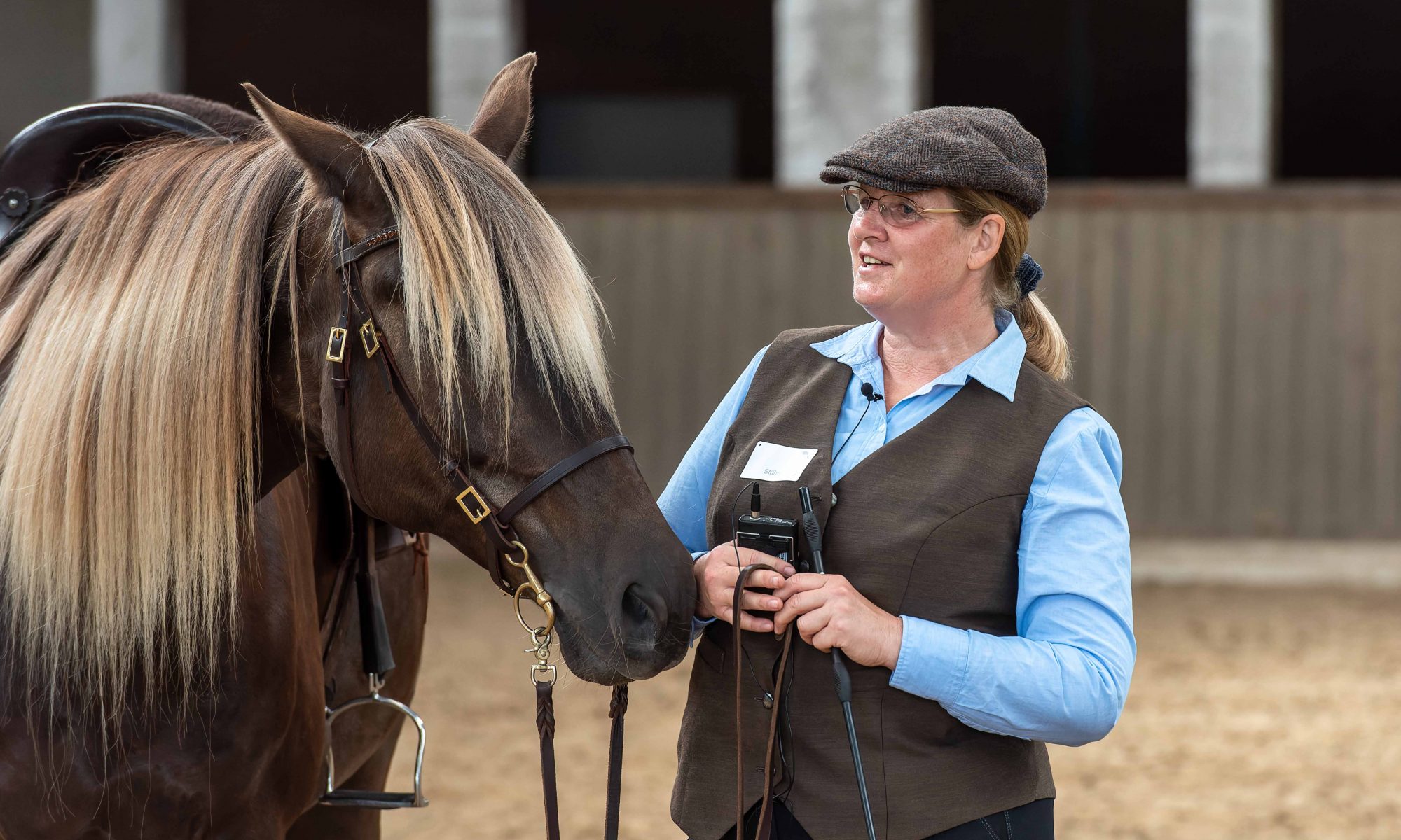Kaja Stührenberg Rocky Mountain Horse