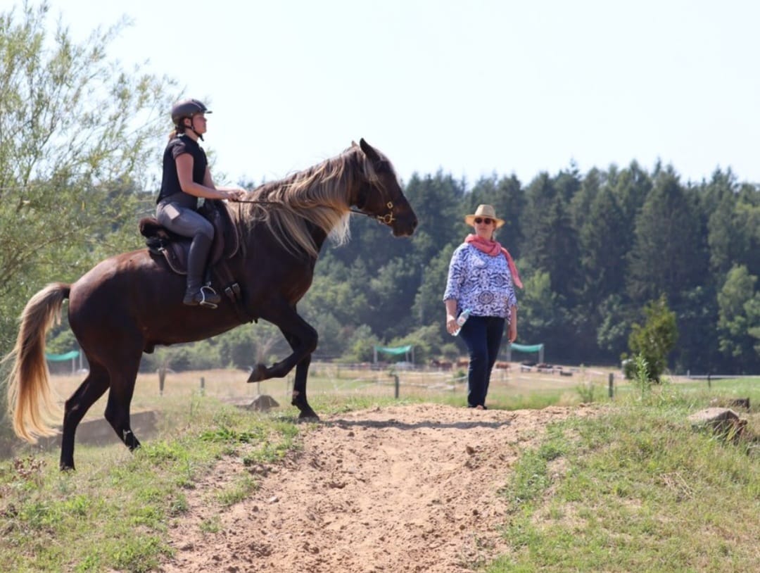 Kaja Stührenberg Lehrgang Geländeplatz Rocky Mountain Horse