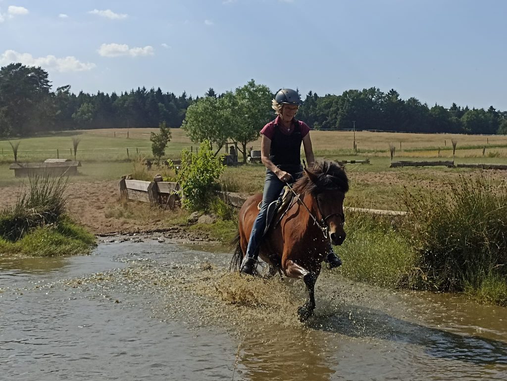 Kaja Stührenberg Lehrgang Geländeplatz Islandpferd Wasser