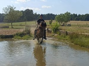 Kaja Stührenberg Lehrgang Geländeplatz Islandpferd Wasser