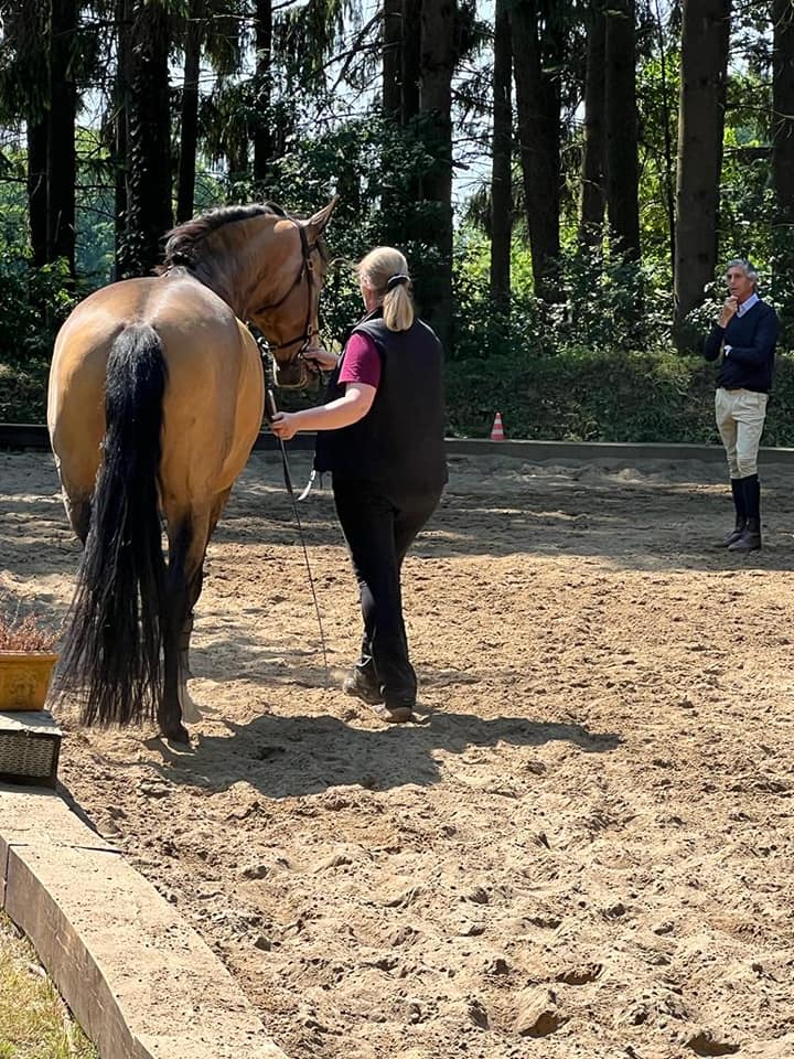 Kaja Stührenberg & Lusitano Latina Handarbeit