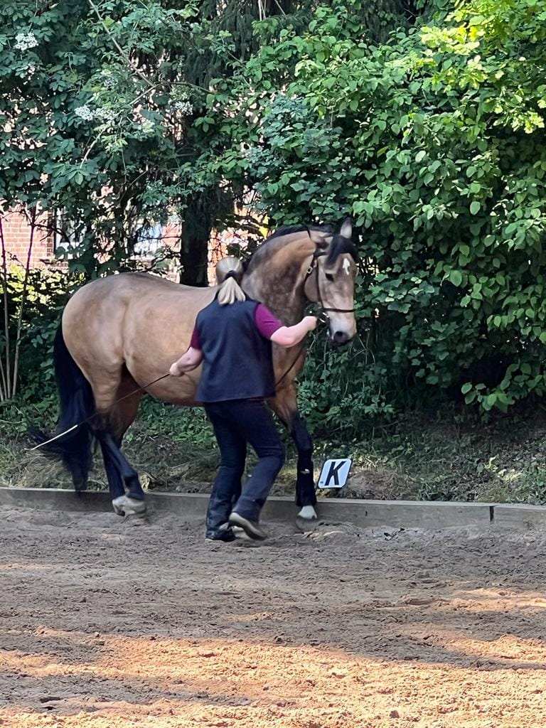 Kaja Stührenberg & Lusitano Latina Handarbeit